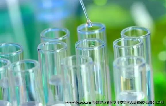 格鲁吉亚代孕成功率大致在60%到80%之间