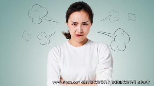 如何做代孕？卵泡和试管有什么关系？