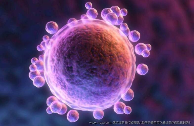 武汉做第三代代孕助孕的费用可以通过医疗保险报销吗？