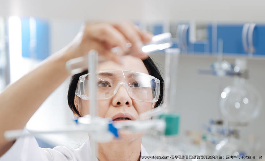 吉尔吉斯斯坦代孕医院介绍：成功率与手术费用一览