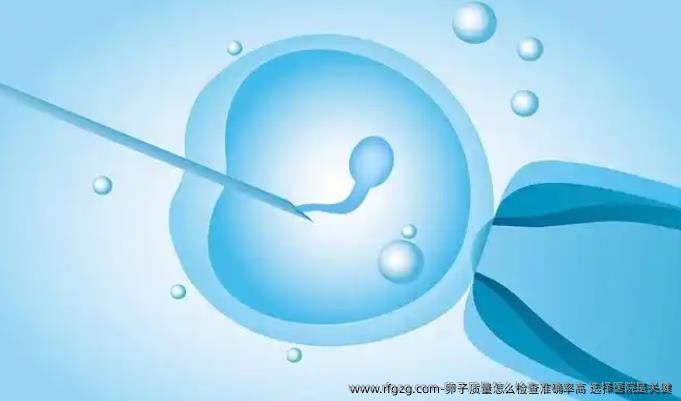 卵子质量怎么检查准确率高 选择医院是关键
