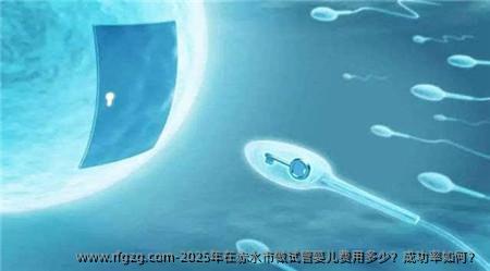 2025年在赤水市做代孕费用多少？成功率如何？