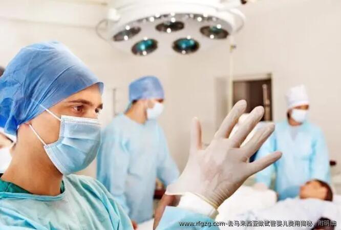 去马来西亚做代孕费用揭秘，附明细