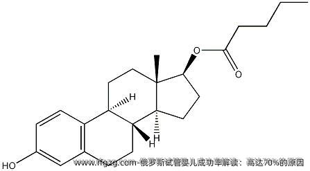 俄罗斯代孕成功率解读：高达70%的原因