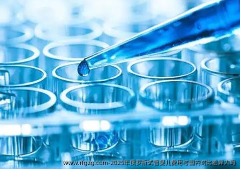 2025年俄罗斯代孕费用与国内对比差异大吗