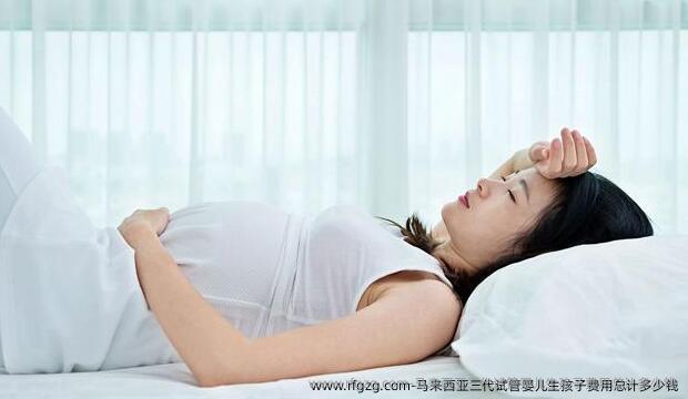 马来西亚三代代孕生孩子费用总计多少钱