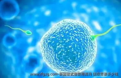 泰国做试管费用高吗 现在需要多少钱