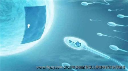 2025年美国代孕费用便宜的医院解读
