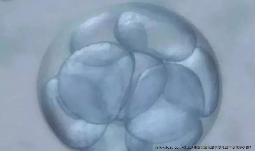 在北京生做第三代代孕助孕要花多少钱？
