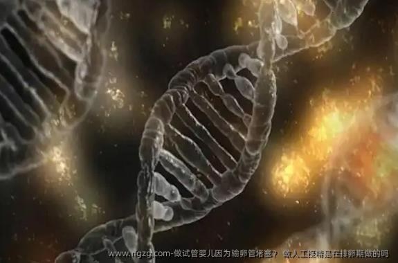 做代孕因为输卵管堵塞？ 做人工授精是在排卵期做的吗 