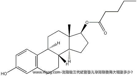 沈阳做三代代孕单周期费用大概要多少？