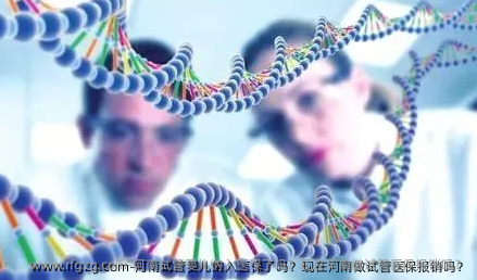 河南代孕纳入医保了吗？现在河南做试管医保报销吗？