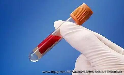 2025年哈萨克斯坦代孕主要费用解读