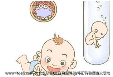 为什么8周9周容易胎停 胎停前有哪些暗示信号