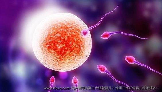 沧州哪里有第三代代孕？沧州三代代孕医院排名！