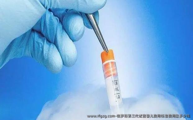 俄罗斯第三代代孕费用标准费用是多少钱