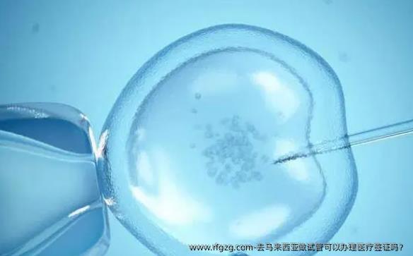 去马来西亚做试管可以办理医疗签证吗？