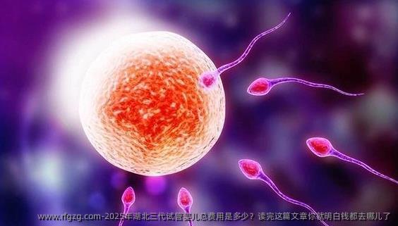 2025年湖北三代代孕总费用是多少？读完这篇文章你就明白钱都去哪儿了