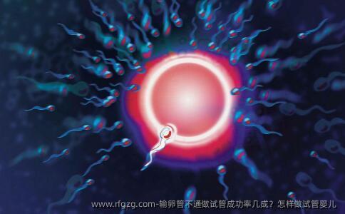 输卵管不通做试管成功率几成？怎样做代孕 