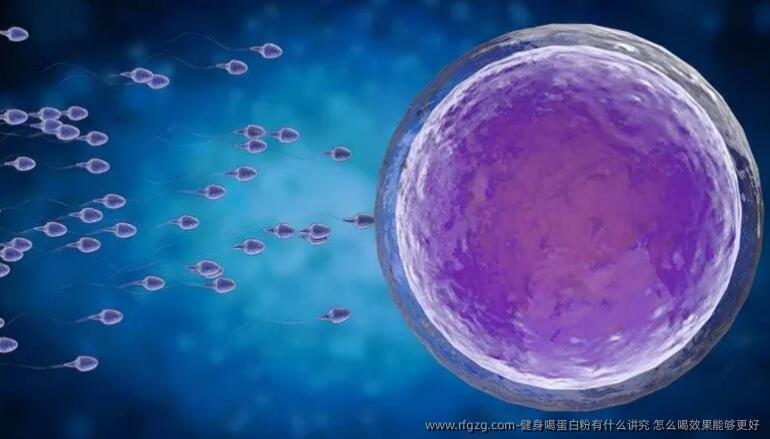 健身喝蛋白粉有什么讲究 怎么喝效果能够更好