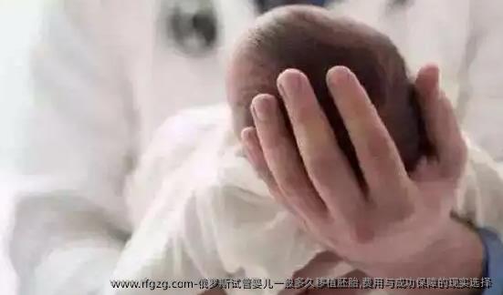 俄罗斯代孕一般多久移植胚胎,费用与成功保障的现实选择 