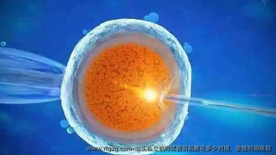 汕头私立机构试管前后要花多少时间，全程时间规划