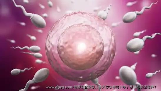 俄罗斯代孕手术成功率排行榜？费用和医院推荐？ 