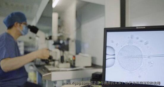 成功率与费用的关系？哈萨克斯坦医院的选择 